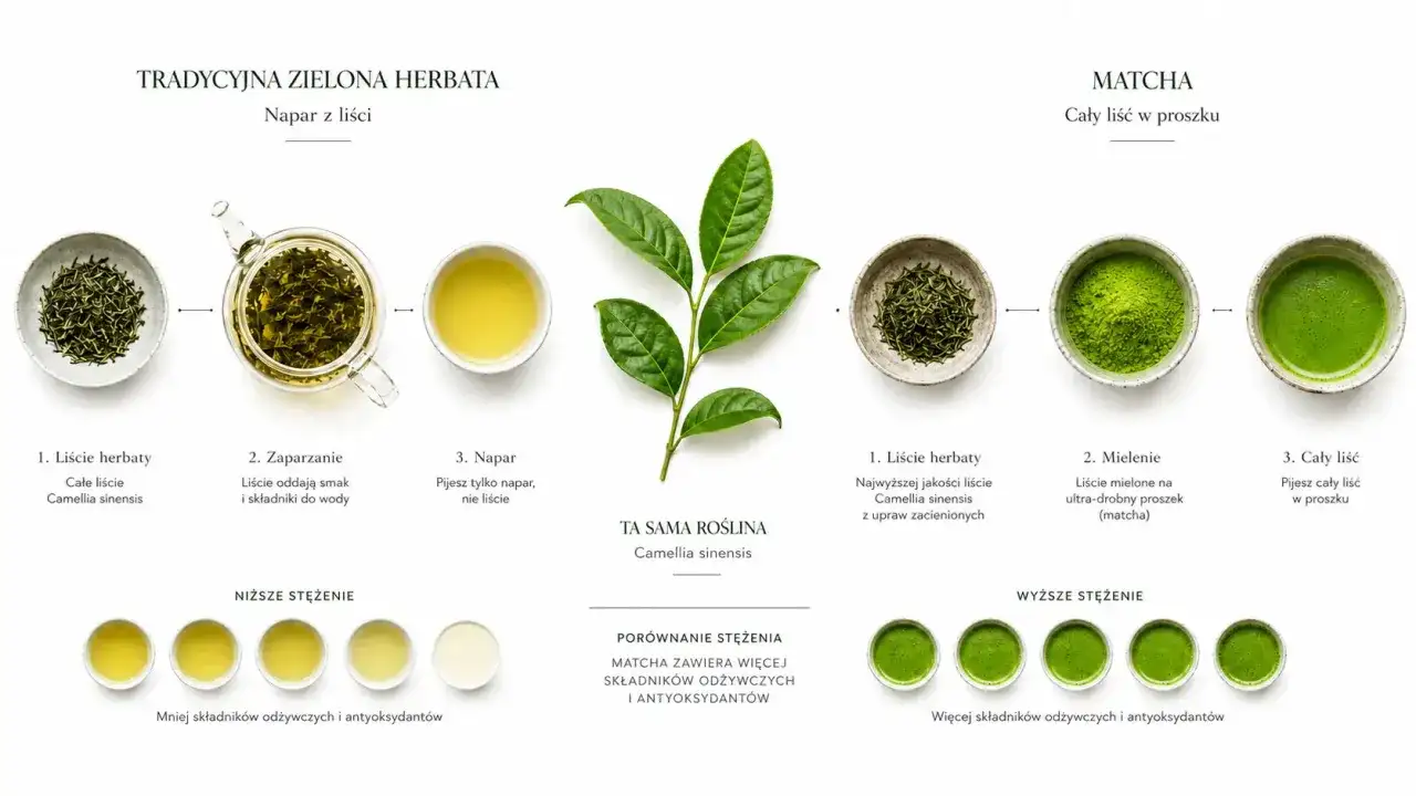 Porównanie tradycyjnej zielonej herbaty i matchy. Matcha, dzięki mieleniu całych liści, ma bogatsze matcha właściwości odżywcze i antyoksydacyjne.