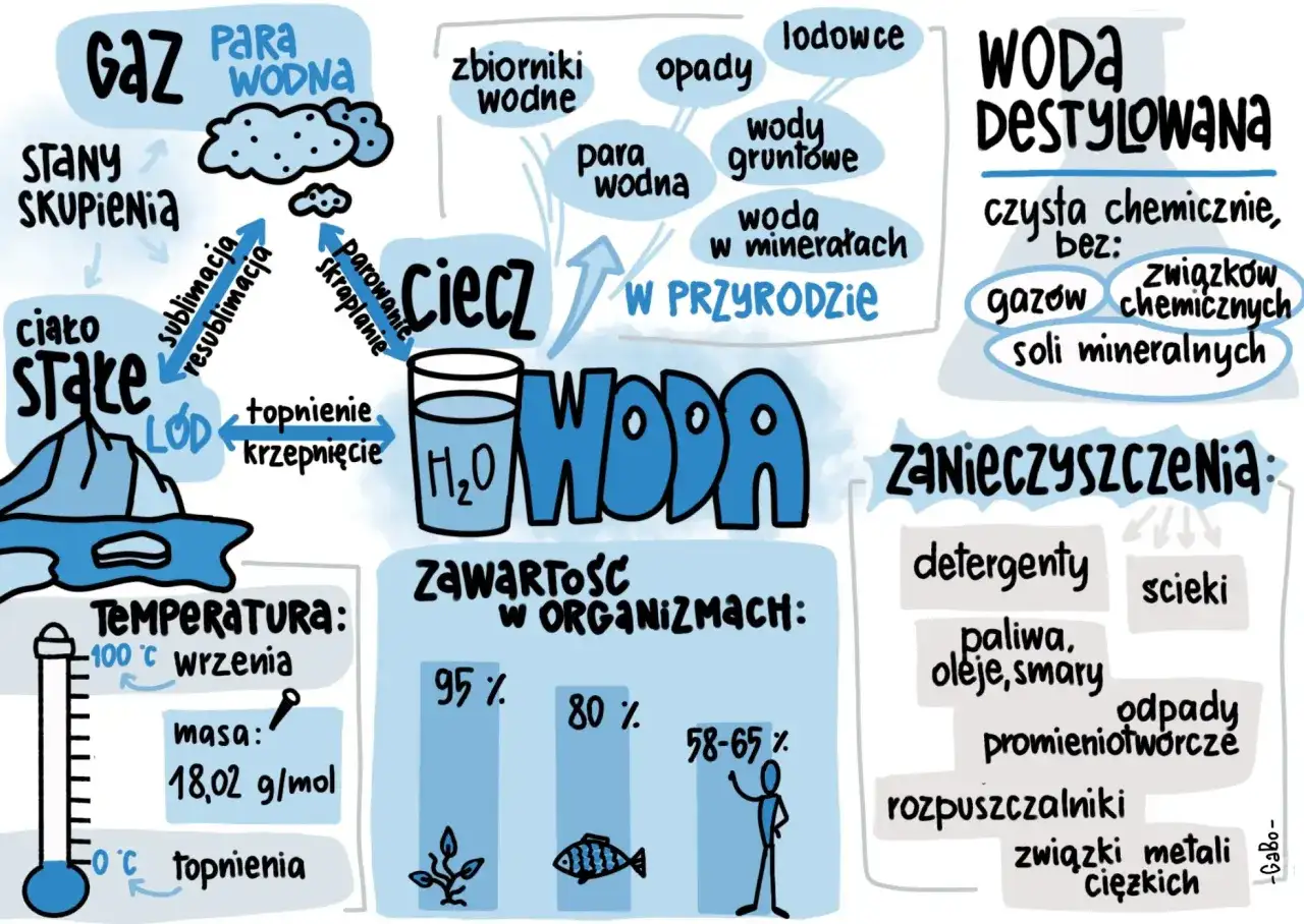 Sketchnoting o wodzie: stany skupienia, cykl w przyrodzie, zawartość w organizmach, zanieczyszczenia i woda destylowana.