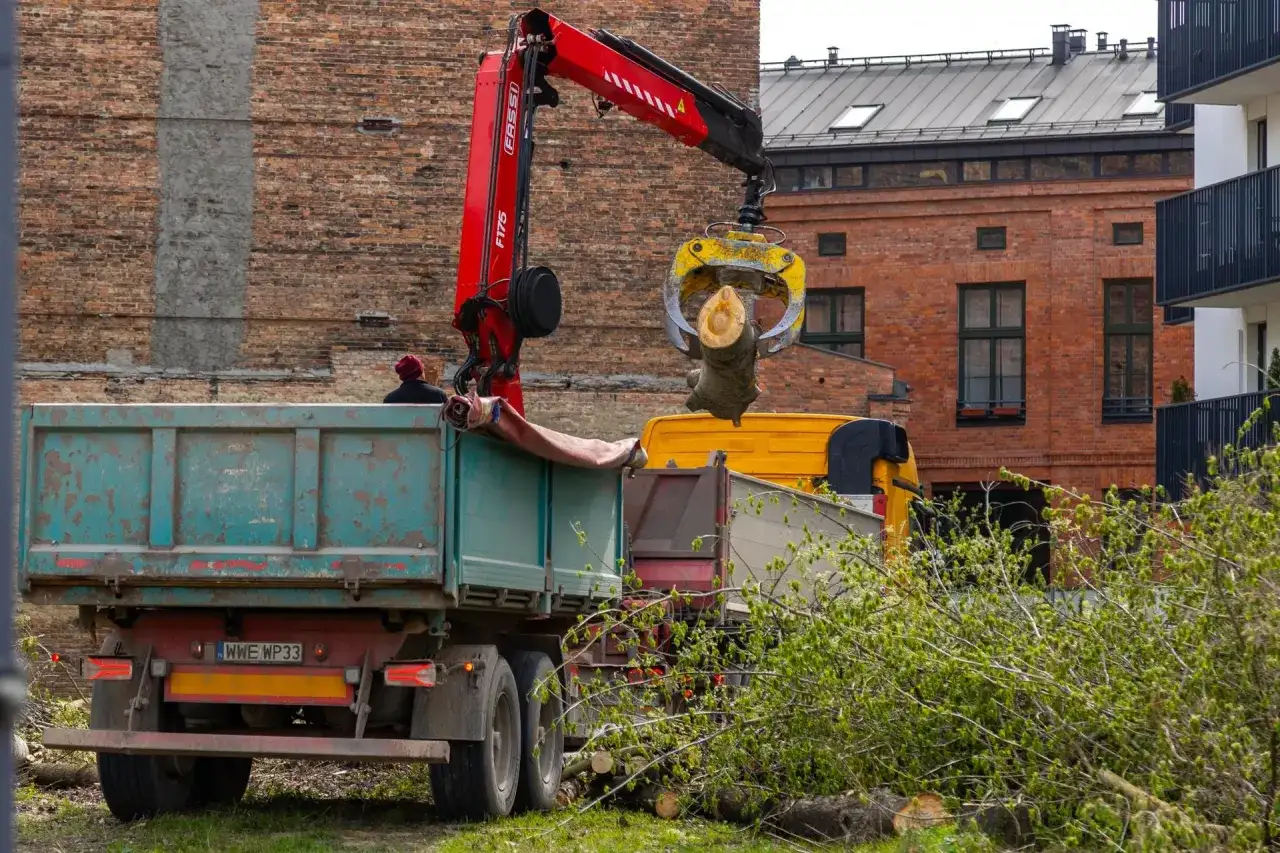 Dźwig z chwytakiem ładuje pień drzewa do wywrotki. Zastanawiasz się, ile kosztuje wycięcie drzewa?