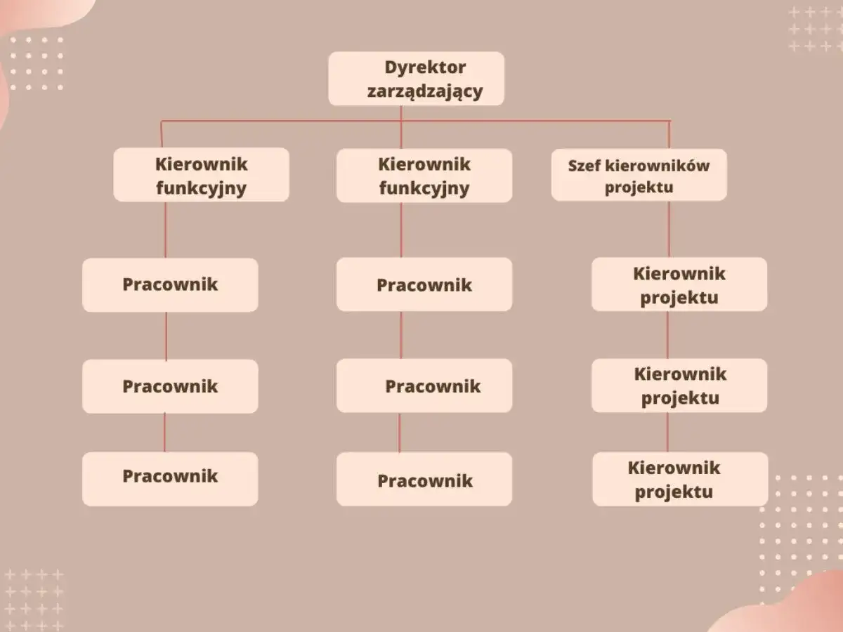 Schemat przedstawia strukturę organizacyjną firmy z dyrektorem zarządzającym na czele, kierownikami funkcyjnymi i szefem kierowników projektu.