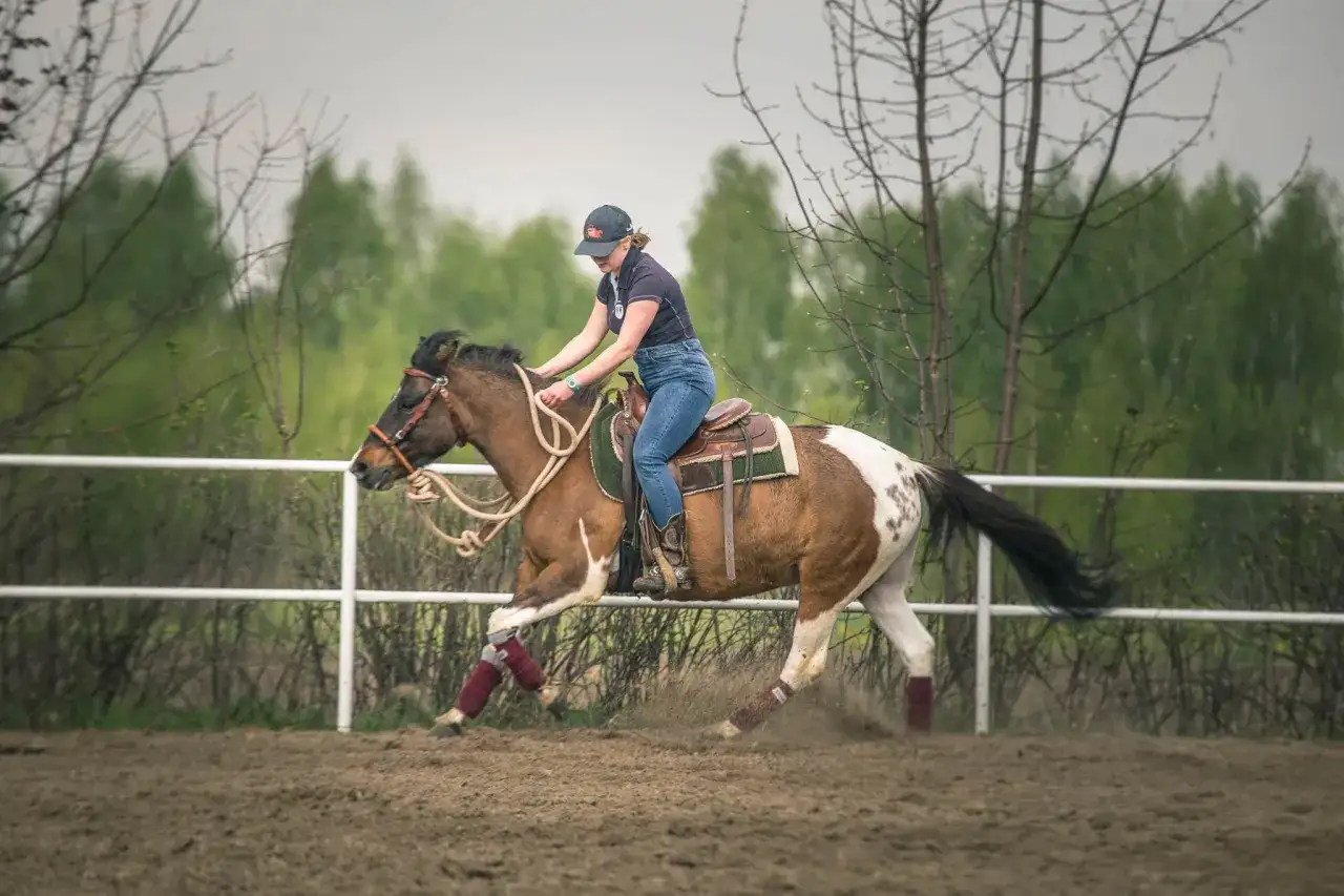 Kobieta na koniu w galopie. Zastanawiasz się, ile waży koń? Ten piękny, łaciaty rumak z pewnością ma sporą masę.