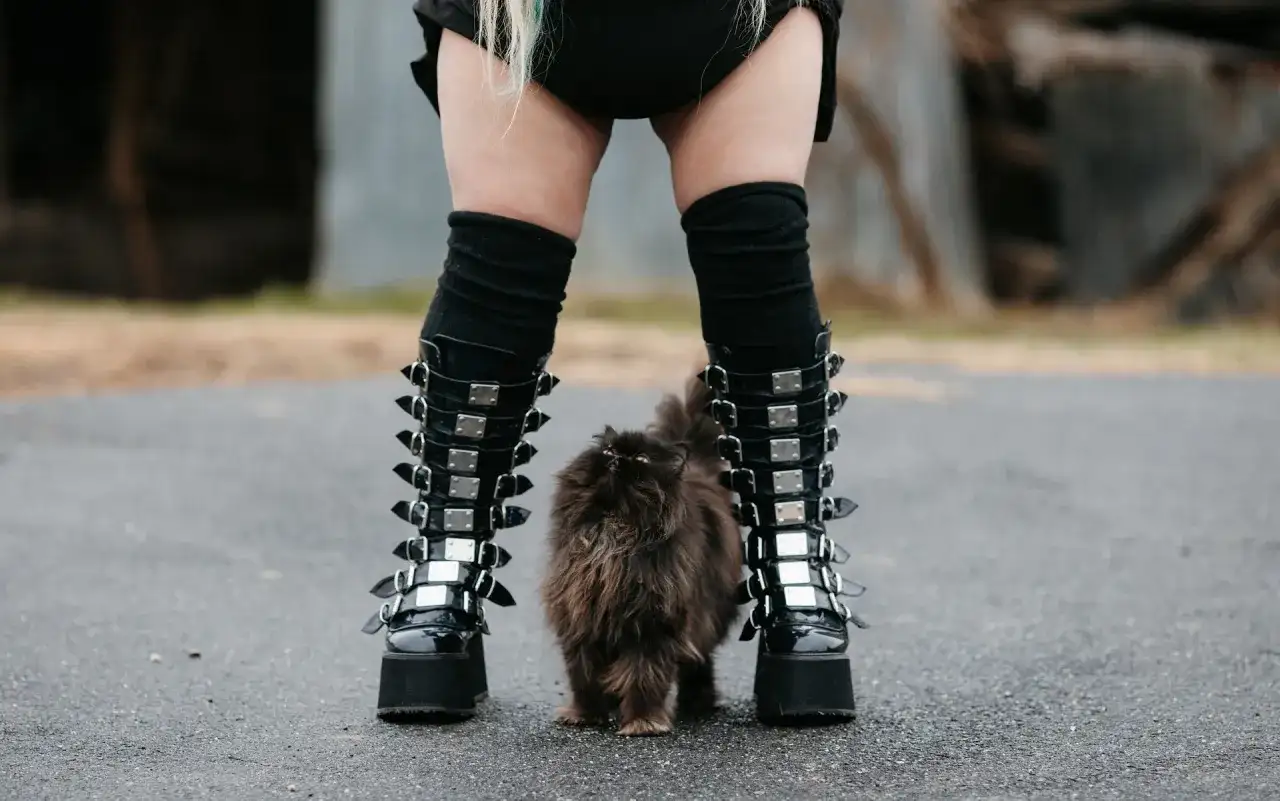 Puszysty kotek między butami w stylu emo.