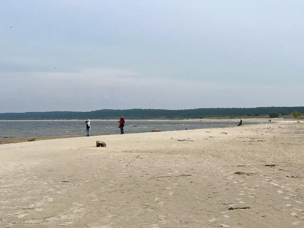 Spacer po piaszczystej plaży na Żuławach Wiślanych. W oddali widać las i morze.