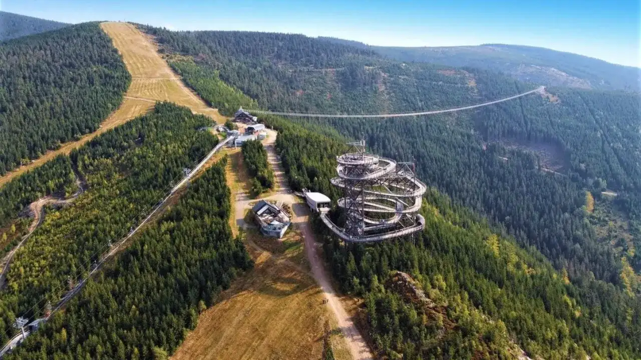Widok na Sky Walk i najdłuższy most w Czechach, zawieszony nad gęstym lasem.