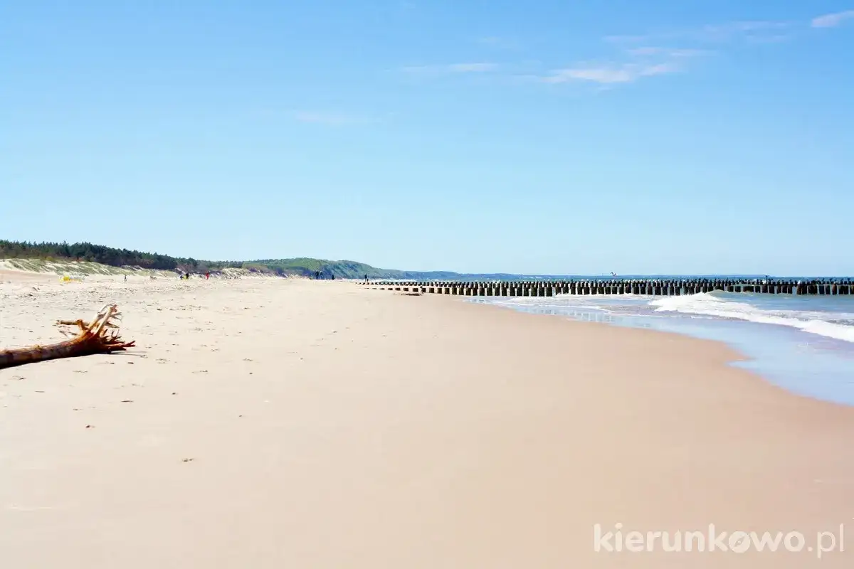 Piękna, piaszczysta plaża w Rowach, z drewnianymi falochronami i łagodnymi falami. Idealne miejsce na relaks.