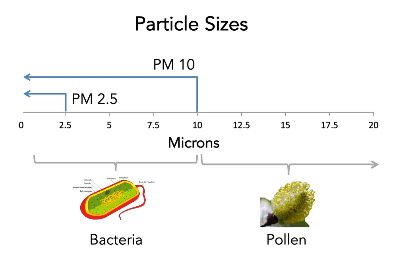 PM10 co to? Wykres porównuje rozmiary cząstek: PM2.5 (do 2.5 mikrona), PM10 (do 10 mikronów), bakterie (ok. 1-10 mikronów) i pyłki (ok. 10-50 mikronów).