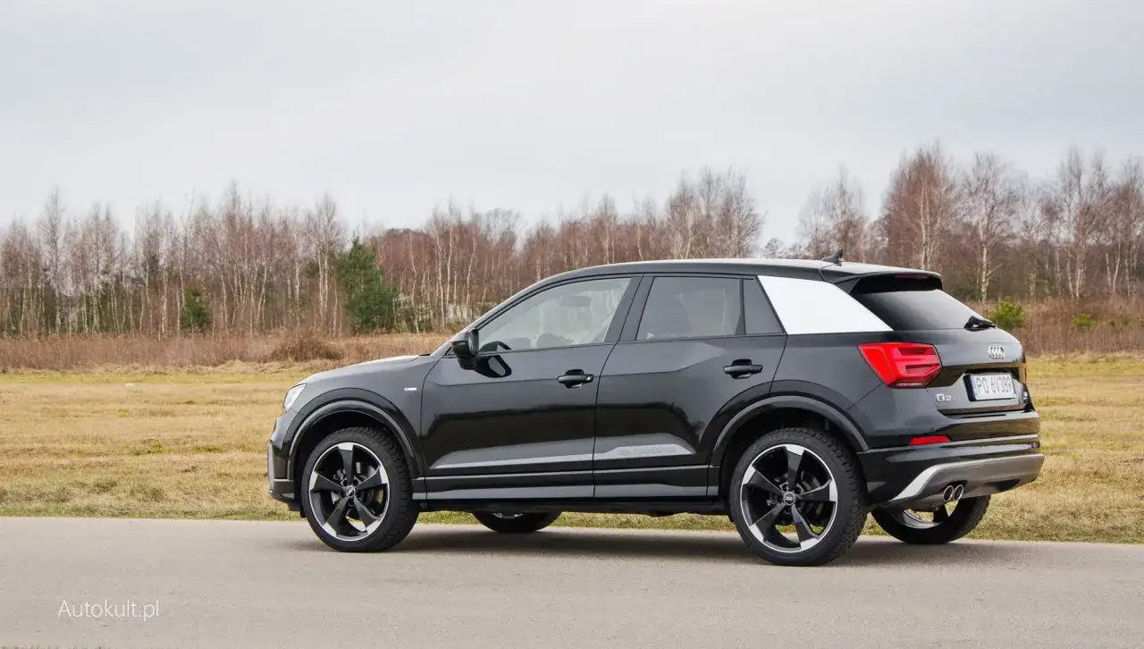 Czarne Audi Q2 z białym akcentem na słupku C, zaparkowane na tle jesiennego krajobrazu. Wiele osób szuka audi q2 opinie przed zakupem.