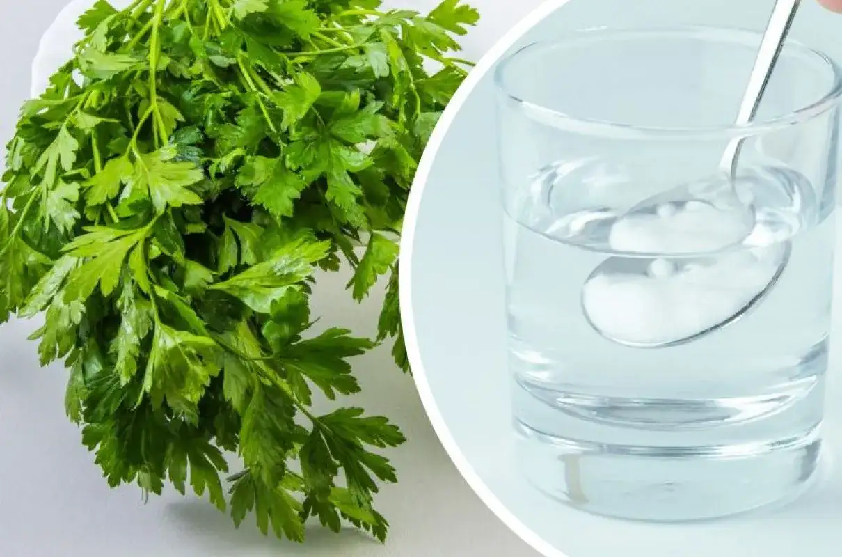 Pietruszka zielona, świeża i aromatyczna, obok szklanki wody z łyżeczką.