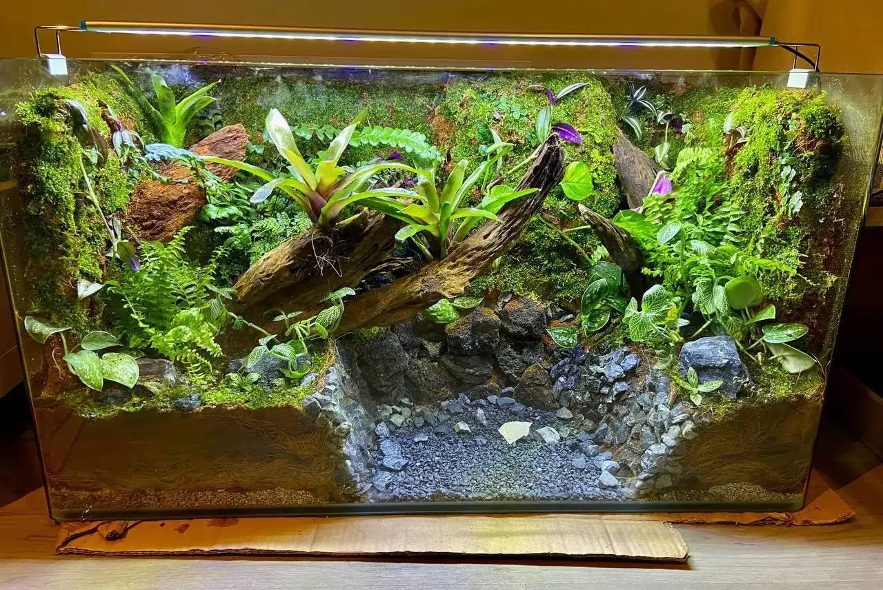 Zielone, wilgotne terrarium z korzeniami, mchem i roślinnością. Idealne dla kraba wampira, spełnia jego wymagania dotyczące środowiska.