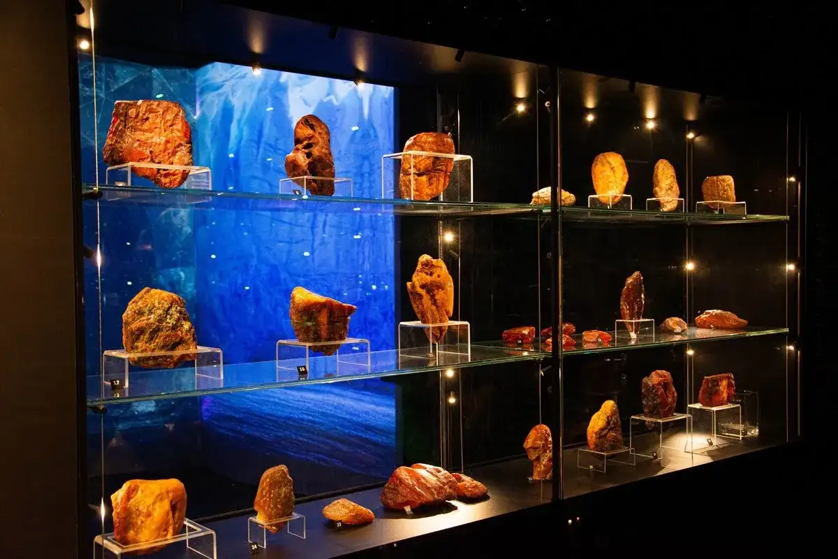 W Muzeum Bursztynu w Gdańsku zobaczysz bursztyny. Sprawdź muzeum bursztynu gdańsk cena biletu, by zaplanować wizytę.