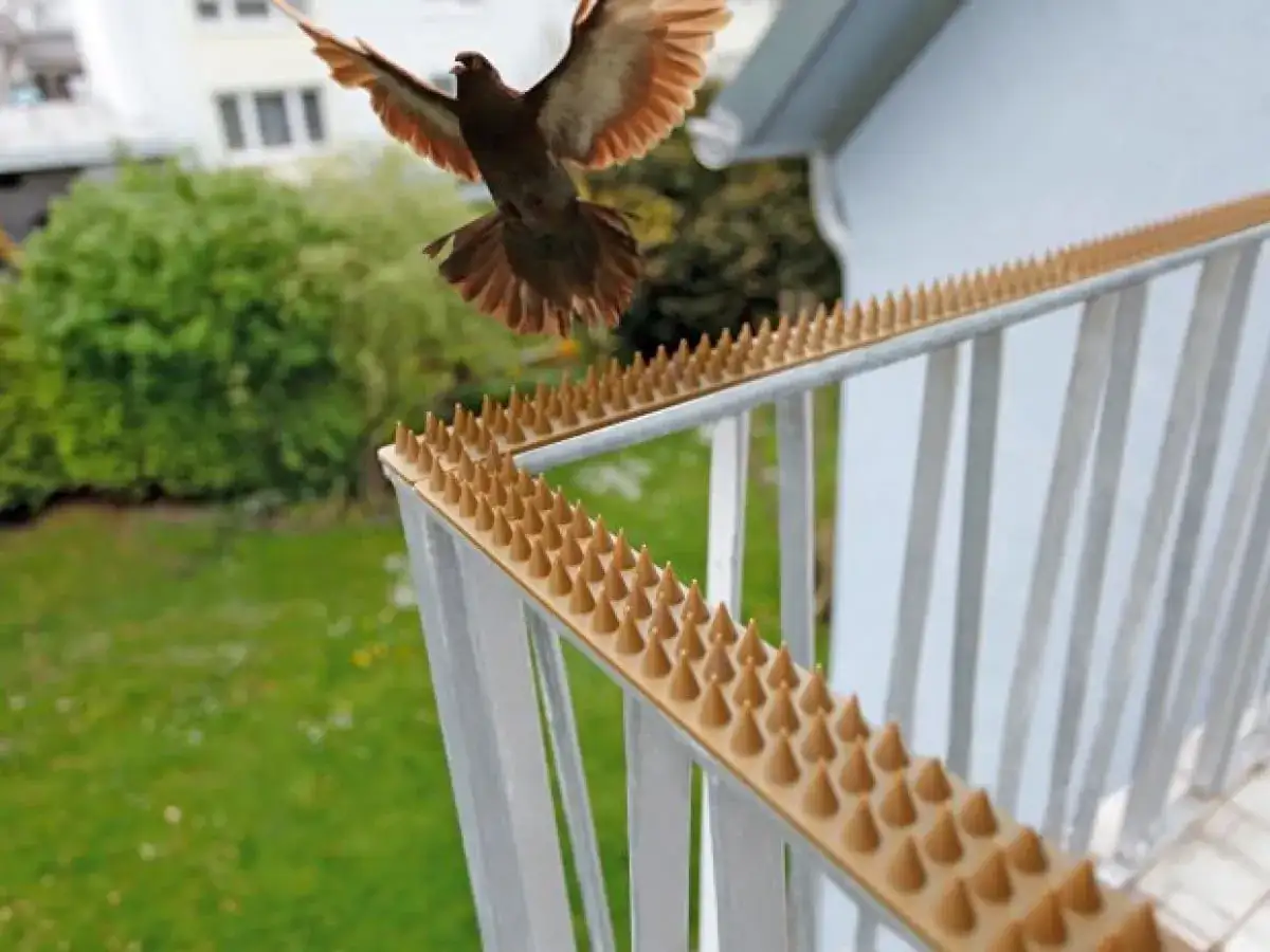 Kolce na balustradzie to skuteczny sposób, jak odstraszyć wróble i inne ptaki od siadania na balkonie.