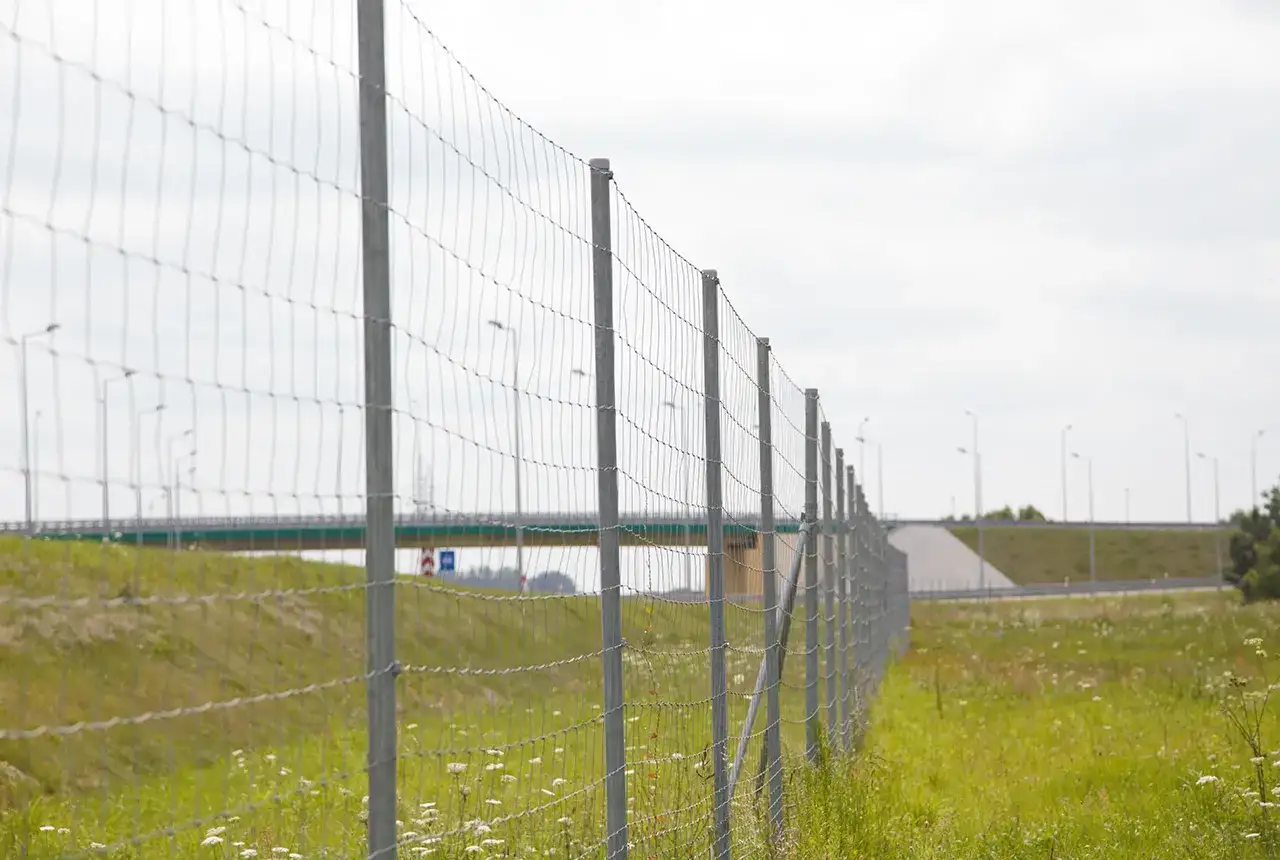 Siatka leśna z metalowymi słupkami biegnie wzdłuż drogi. W tle widać wiadukt i latarnie.