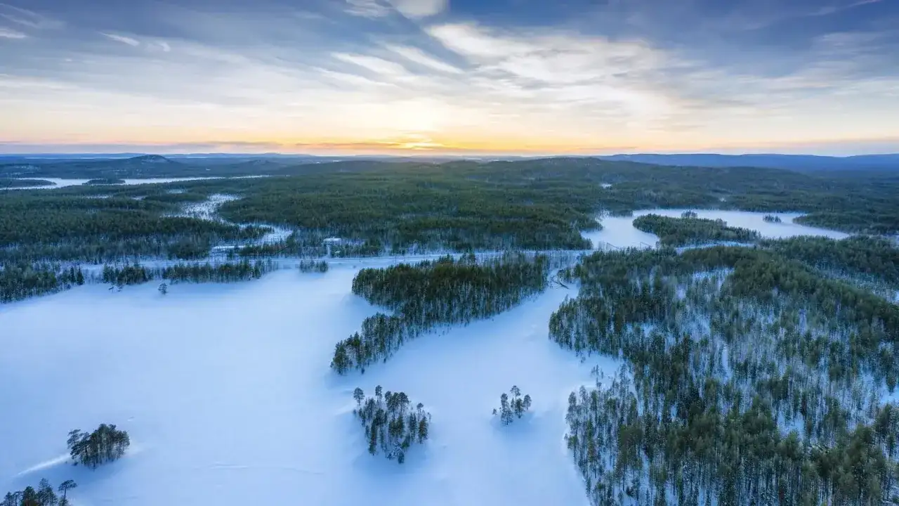 Zimowy krajobraz z zamarzniętym jeziorem, które jest największym jeziorem w Europie. Otoczone lasem sosnowym, pokryte śniegiem.