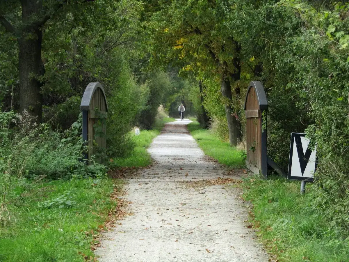 Piękny szlak rowerowy pomarańczowy w otoczeniu zieleni. W oddali widać rowerzystę.