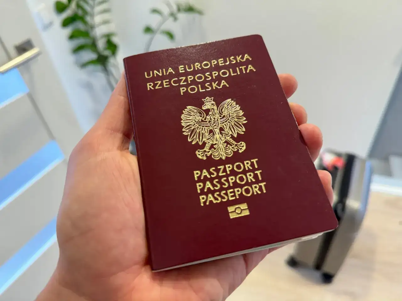 Polski paszport w dłoni, gotowy na podróż do USA. Wiza do USA wkrótce!