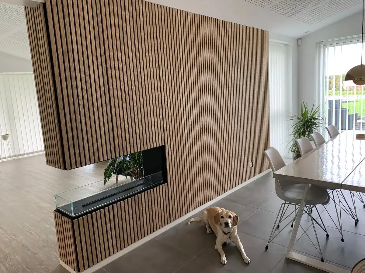 Vacker vägg med akustikpanel inspiration, en modern eldstad och en hund som vilar vid matbordet.