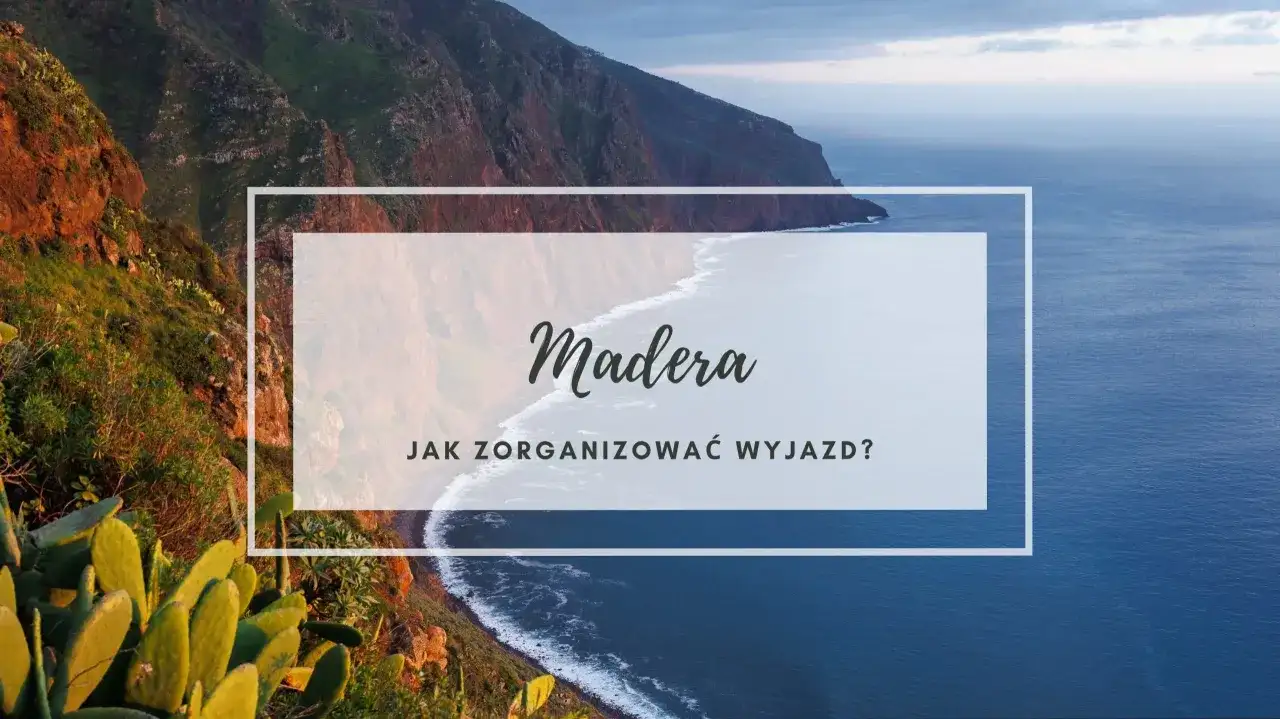 Majestatyczne klify i ocean na wyspie Madera. Planujesz wyjazd?