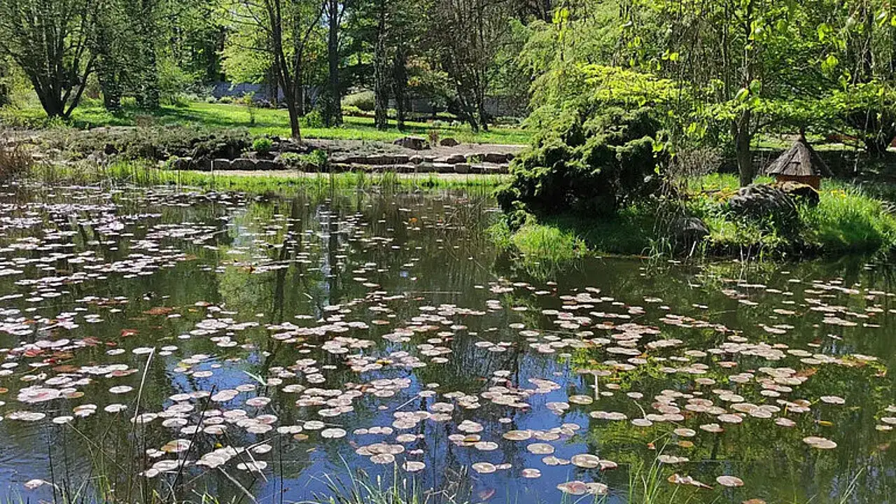 Atrakcje w arboretum w Rogowie, które musisz zobaczyć podczas wizyty