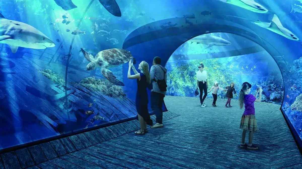 Oceanarium Kraków: Dlaczego nie ma dużego oceanarium w mieście?
