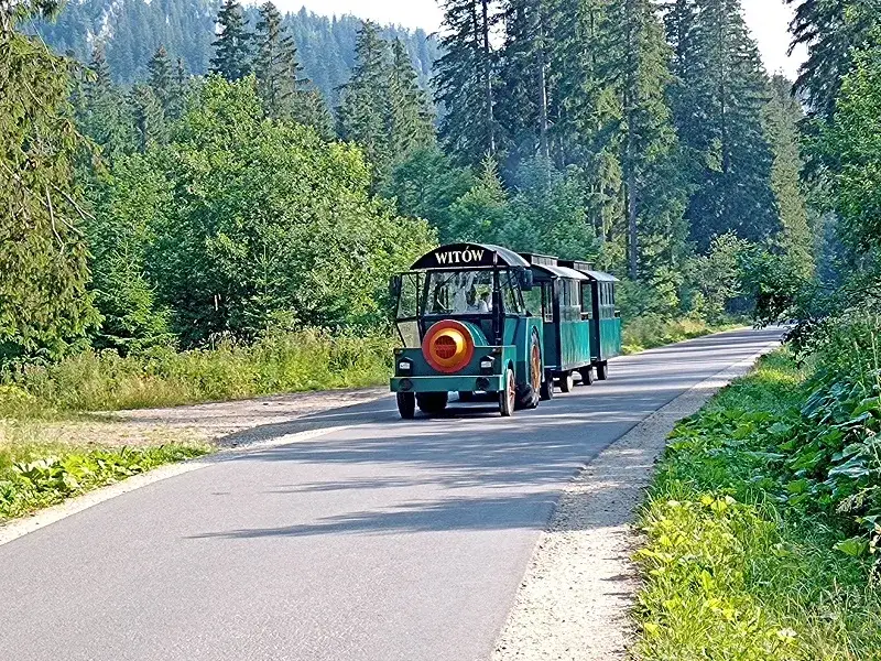 Aktualne ceny bryczek i transport w Dolinie Chochołowskiej: Czy warto?