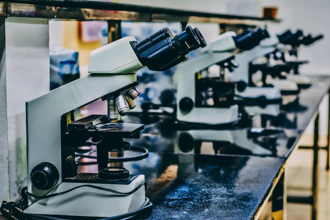 Biologia molekularna czym się zajmuje: kluczowe obszary i odkrycia