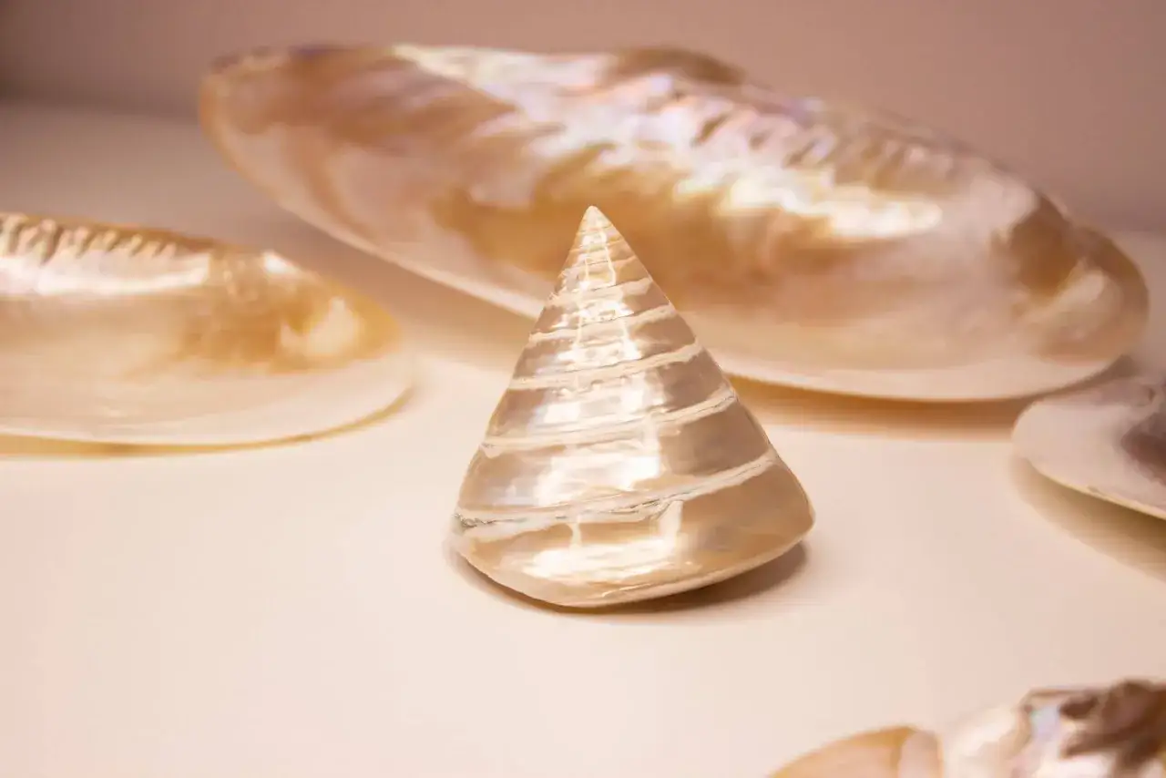 Ein kegelförmiges Perlmutt-Objekt, umgeben von größeren Muschelschalen. Die schimmernde Oberfläche des Perlmutt-Objekts symbolisiert Reinheit und Schönheit.
