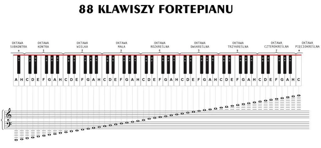 Jak wyglądają nuty? Przewodnik po wartościach rytmicznych i budowie
