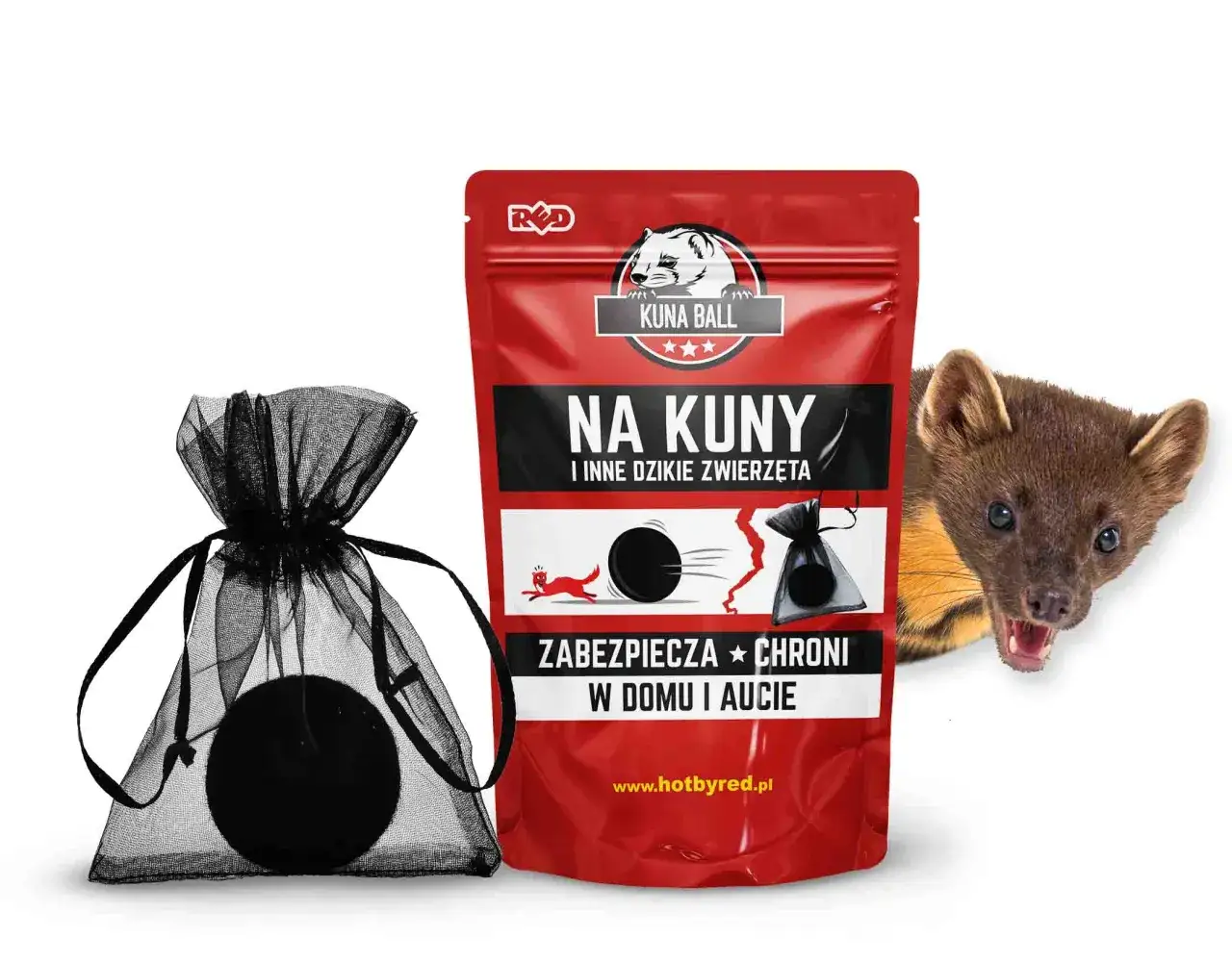 Kuny w samochodzie? Poznaj skuteczne sposoby i koszty!