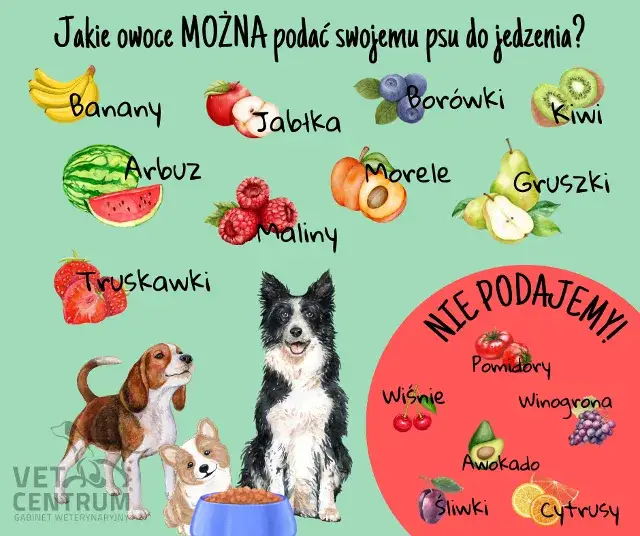 Warzywa dla szczeniaka: Co bezpieczne, a co toksyczne?