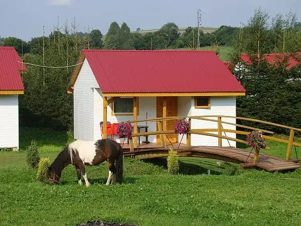 Stadnina koni Przekolno - komfortowe noclegi i jazda konna dla każdego