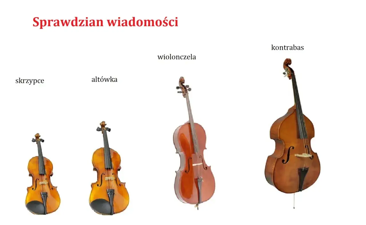 Skrzypce, altówka, wiolonczela i kontrabas ustawione obok siebie, pokazujące różnice w rozmiarze.