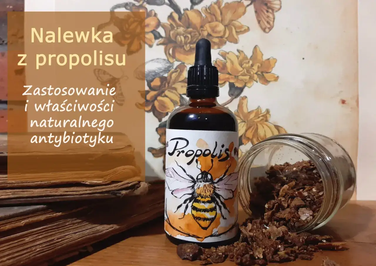 Propolis: jak zażywać bezpiecznie? Dawkowanie, formy i kuracja