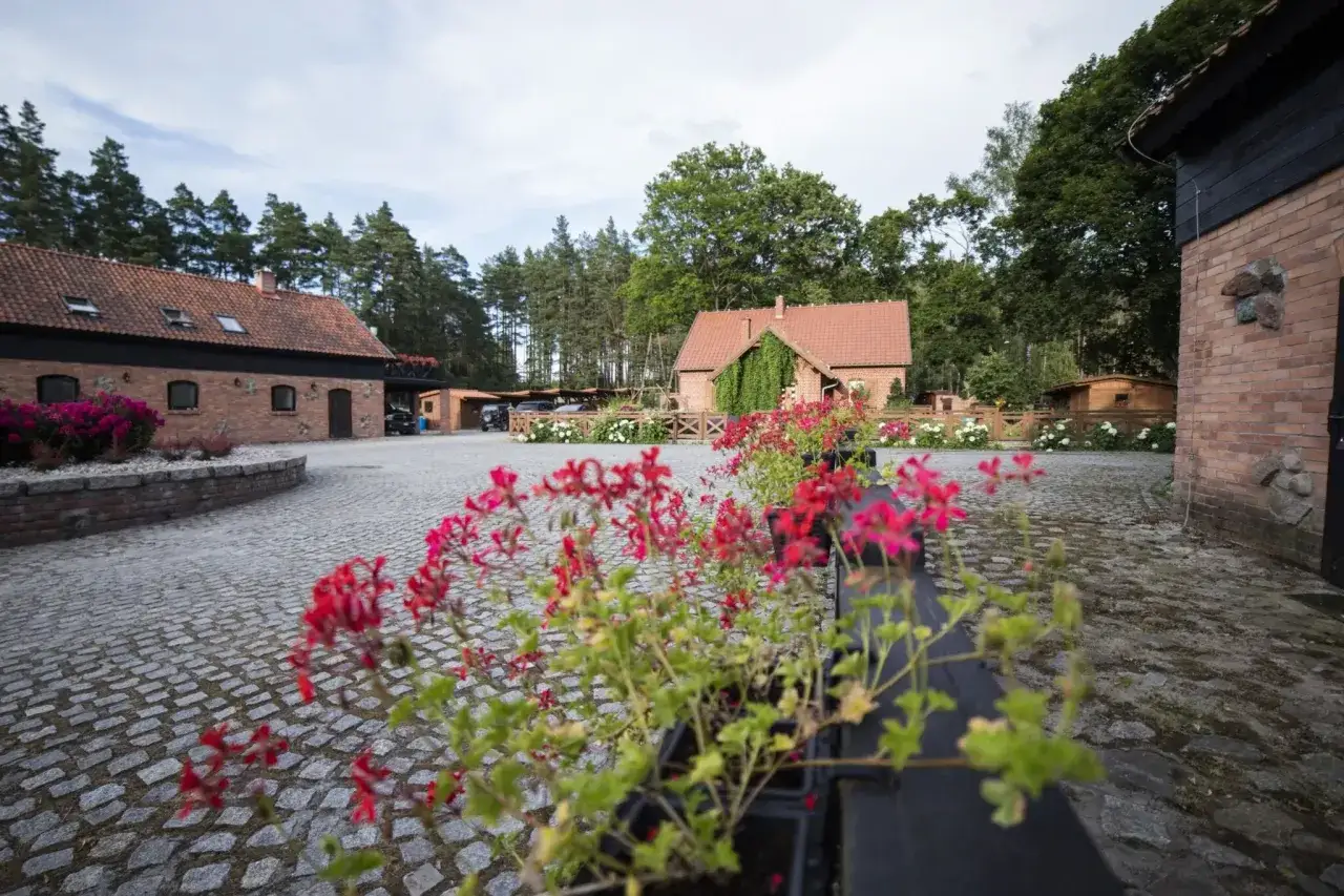 Agroturystyka z dżygitówką i stajnią. Urokliwy dziedziniec z czerwonymi pelargoniami, brukowany podjazd i ceglane budynki.