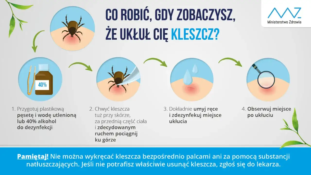 Jak zapobiec boreliozie? Skuteczna ochrona przed kleszczami krok po kroku