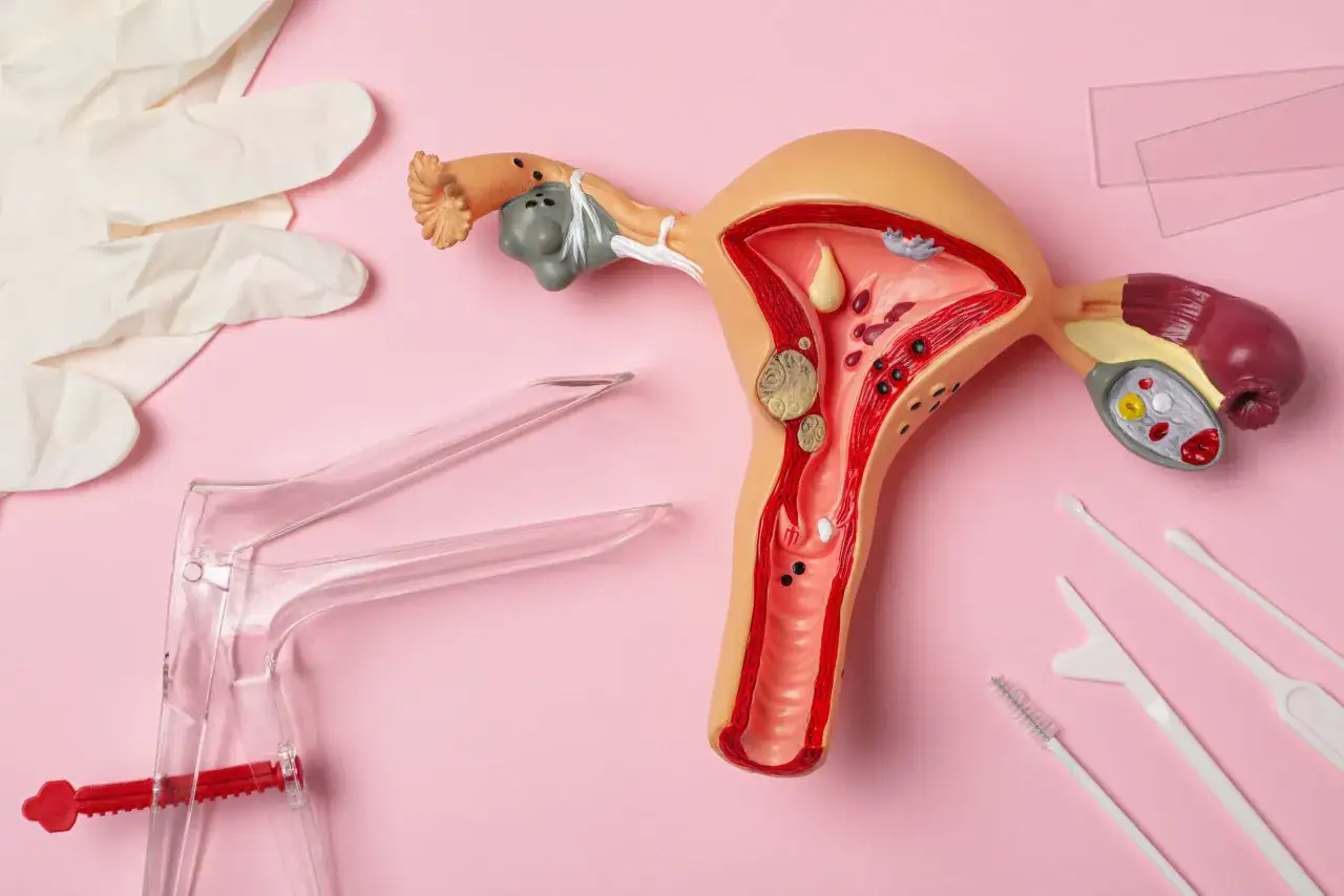 Model narządu rodnego kobiety z widocznym endometrium, rękawiczki, wziernik i przyrządy do badań ginekologicznych na różowym tle.