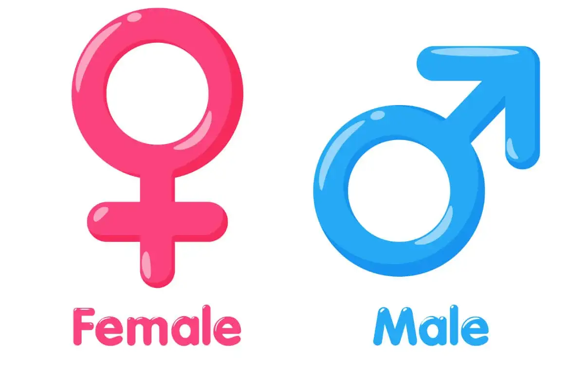 Różowe i niebieskie symbole płci, "Female" i "Male", obok siebie. Symbolika ta może być punktem wyjścia do rozmowy o tym, jak zmienić płeć.