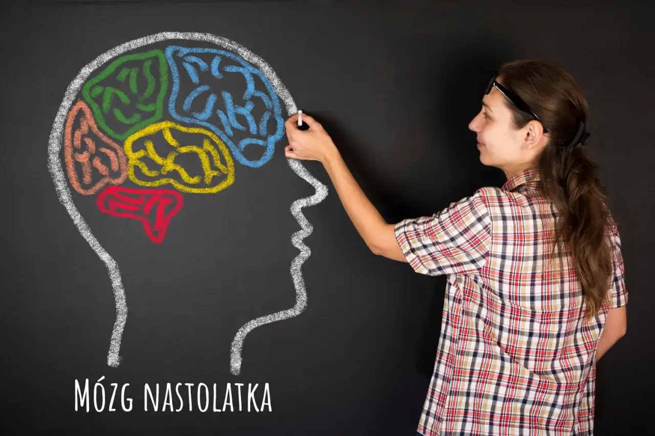 Kobieta rysuje kredą kolorowy mózg nastolatka. Rozwiązywanie krzyżówek to realny pożytek dla rozwoju mózgu.