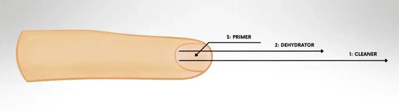 Schemat aplikacji produktów do paznokci: cleaner, dehydrator i primer. Wybór między primer kwasowy czy bezkwasowy zależy od potrzeb.