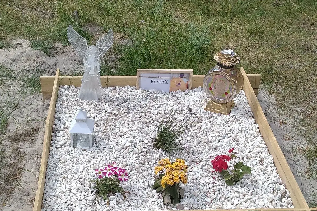Nagrobek dla zwierzęcia z aniołem, zniczem, zdjęciem psa i kwiatami.