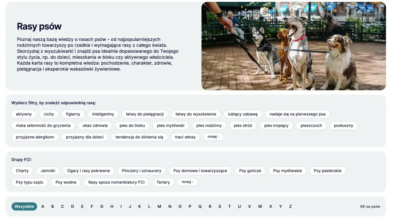 Cztery psy, w tym husky, siedzą na chodniku. Szukasz najinteligentniejsze psy? Znajdź idealnego towarzysza.