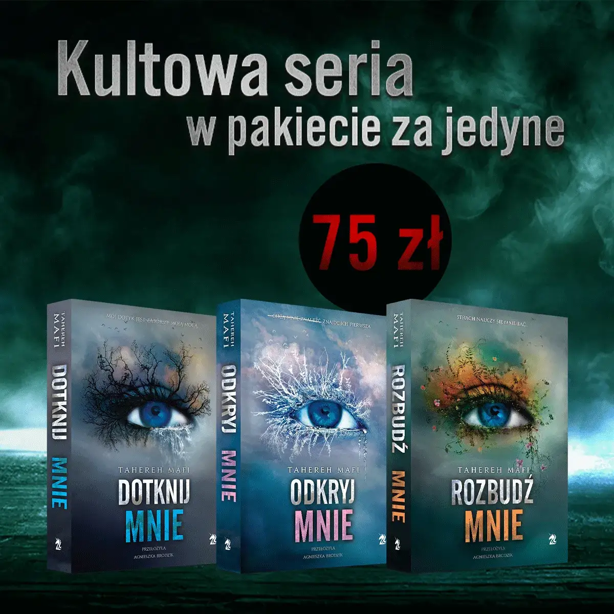 Dotknij mnie książka o czym jest streszczenie, tematyka i bohaterowie