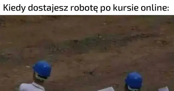 Memy tanio szybko dobrze – humorystyczne spojrzenie na nierealne oczekiwania