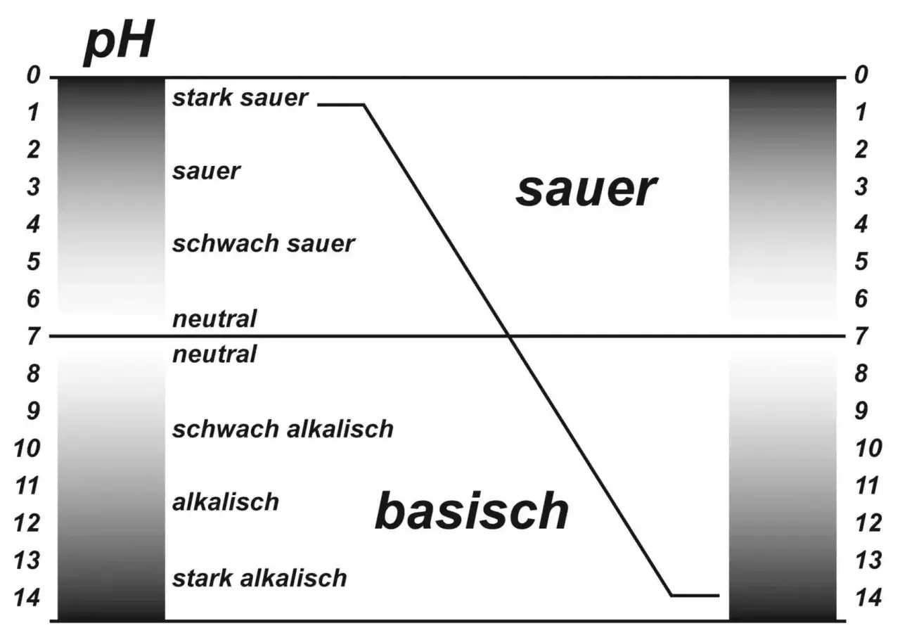 pH-Skala von 0-14. Saures Milieu (links) reicht von stark sauer bis schwach sauer. Basisches Milieu (rechts) von schwach alkalisch bis stark alkalisch. Sauerkrautsaft ist basisch.