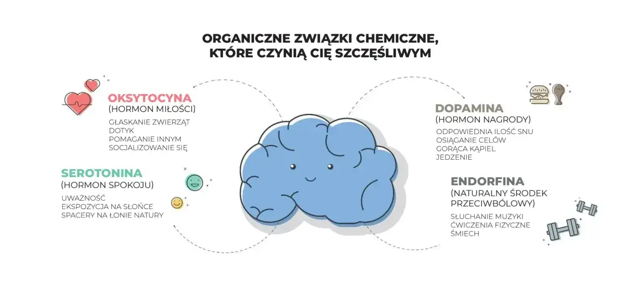 Dopamina, hormon nagrody, uwalnia się przy osiąganiu celów, jedzeniu i innych przyjemnościach. Schemat pokazuje też oksytocynę, serotoninę i endorfiny.