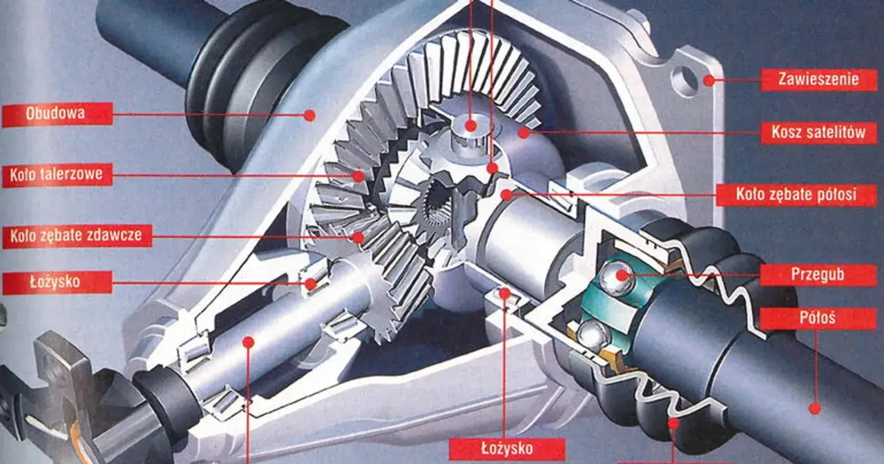 Przekrój mechanizmu różnicowego (dyferencjał) z widocznymi kołami zębatymi, łożyskami i półosią.