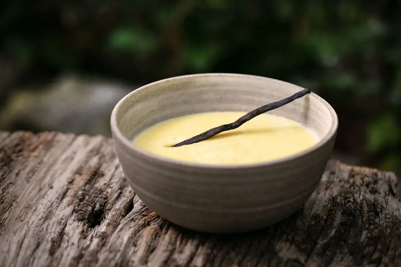 Schüssel mit cremigem Vanillepudding, garniert mit einer Vanilleschote. Perfekt, um Pudding selber machen zu lernen.
