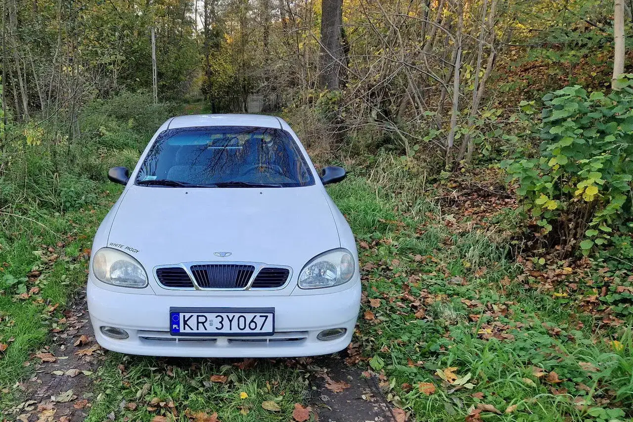 Białe Daewoo Lanos z napisem "WHITE PIGGY" na błotniku, zaparkowane na leśnej ścieżce wśród jesiennych liści.
