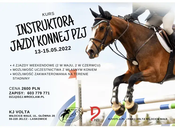 Kurs instruktora jeździectwa powszechnego PZJ - wymagania i koszty