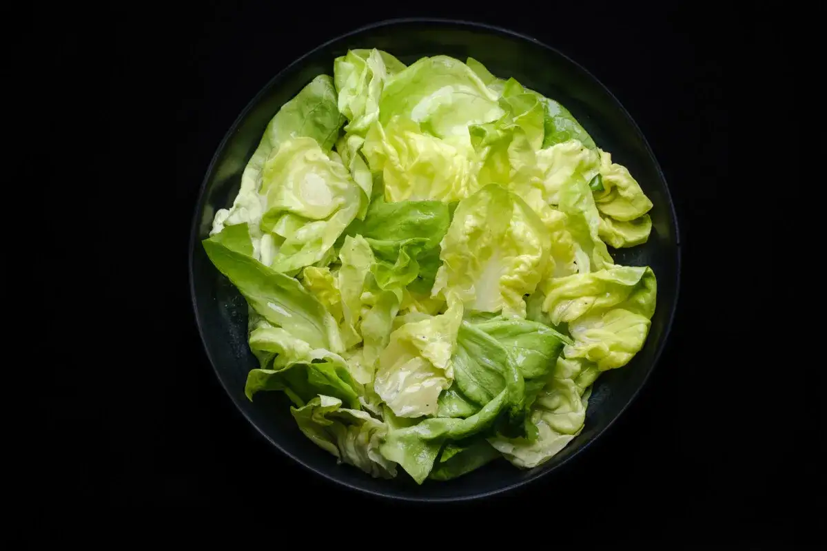 Frischer Kopfsalat in einer Schüssel, bereit für ein leichtes Kopfsalat Rezept.