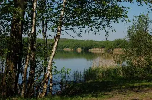 Rezerwat przyrody Łężczok: Urokliwe miejsce pełne dzikiej przyrody